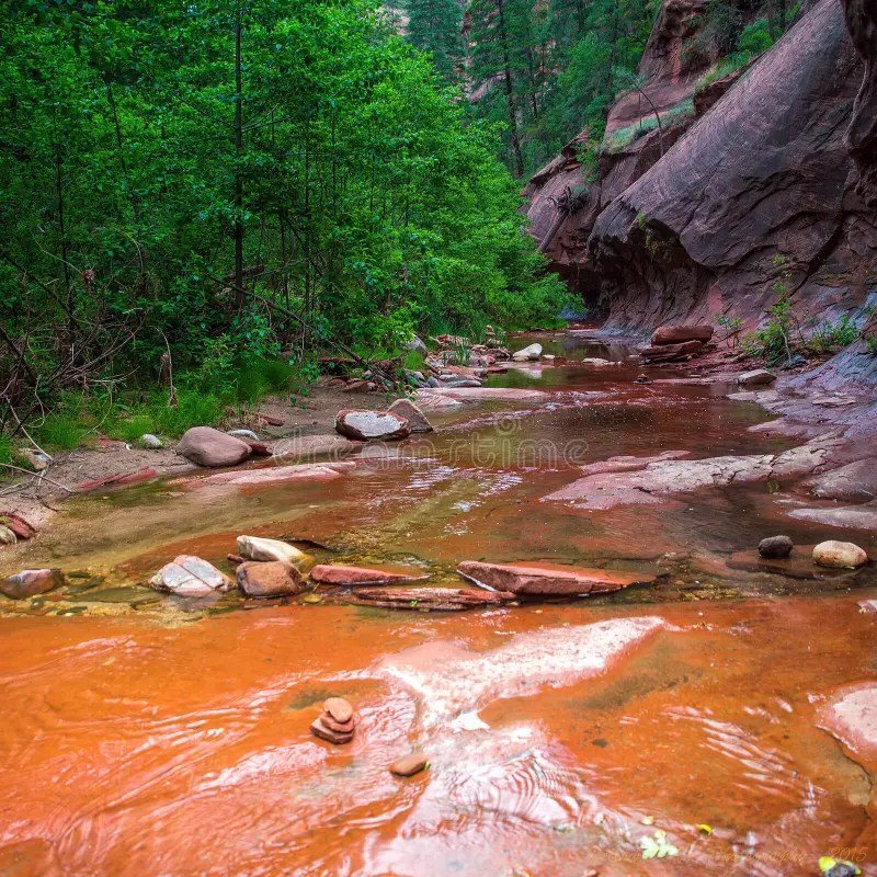 Sedonas Oak Creek Canyon Dining Experiences Offer Unique Hidden Gems