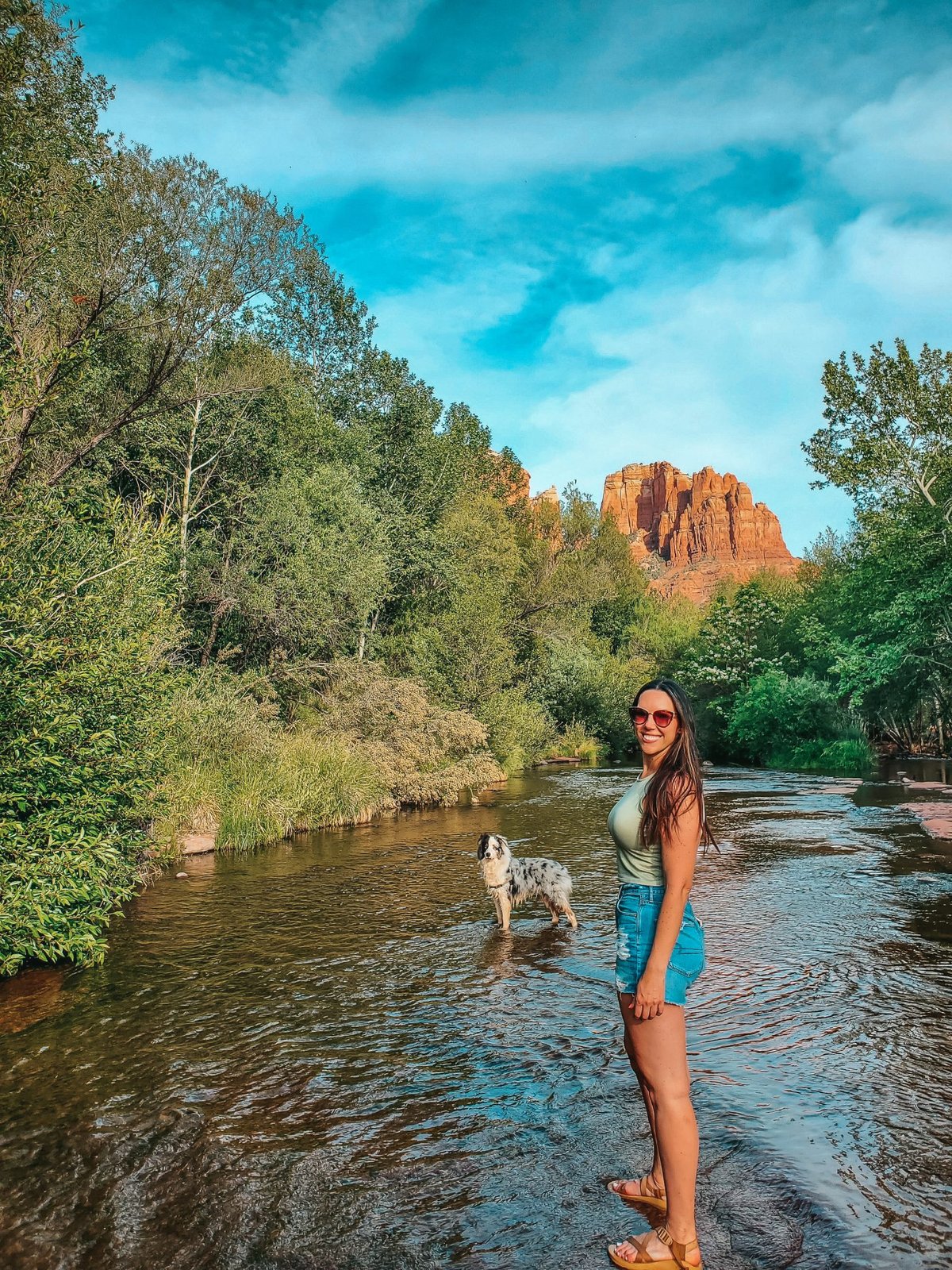 Outdoor Dining Sedona Dog Friendly Restaurants Welcome Your Pup