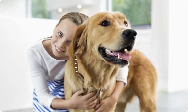 Pet Friendly Restaurants Sedona AZ Patio Dining with Your Pup